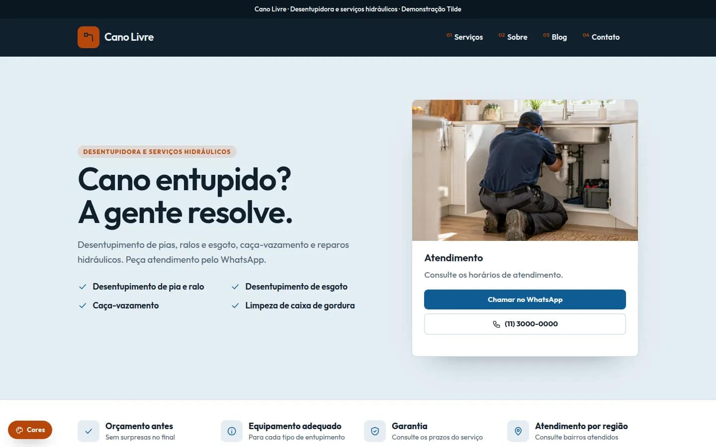 Cano Livre — desentupidora e hidráulica — Site WordPress