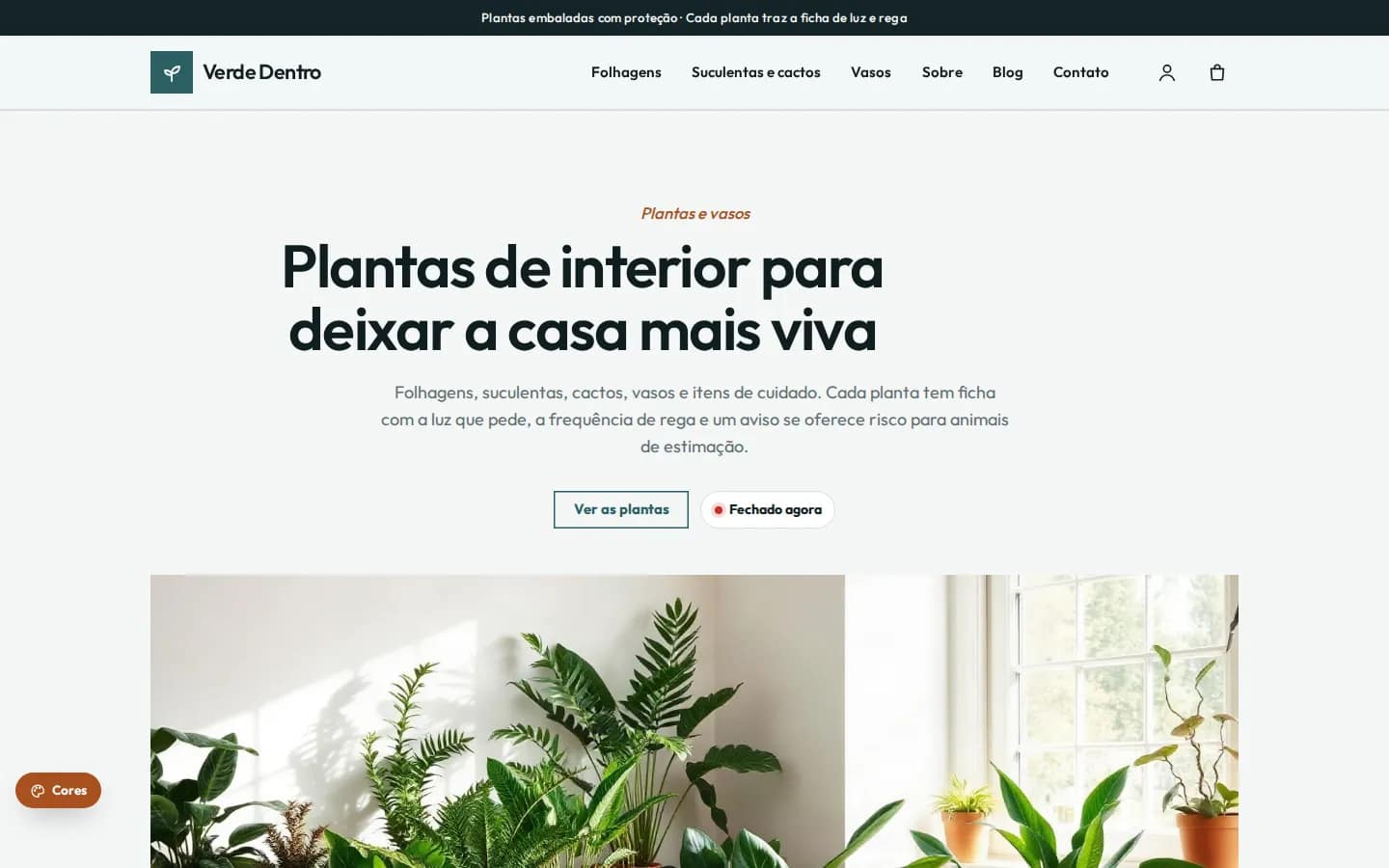 Verde Dentro — plantas de interior e vasos — Tienda online WooCommerce