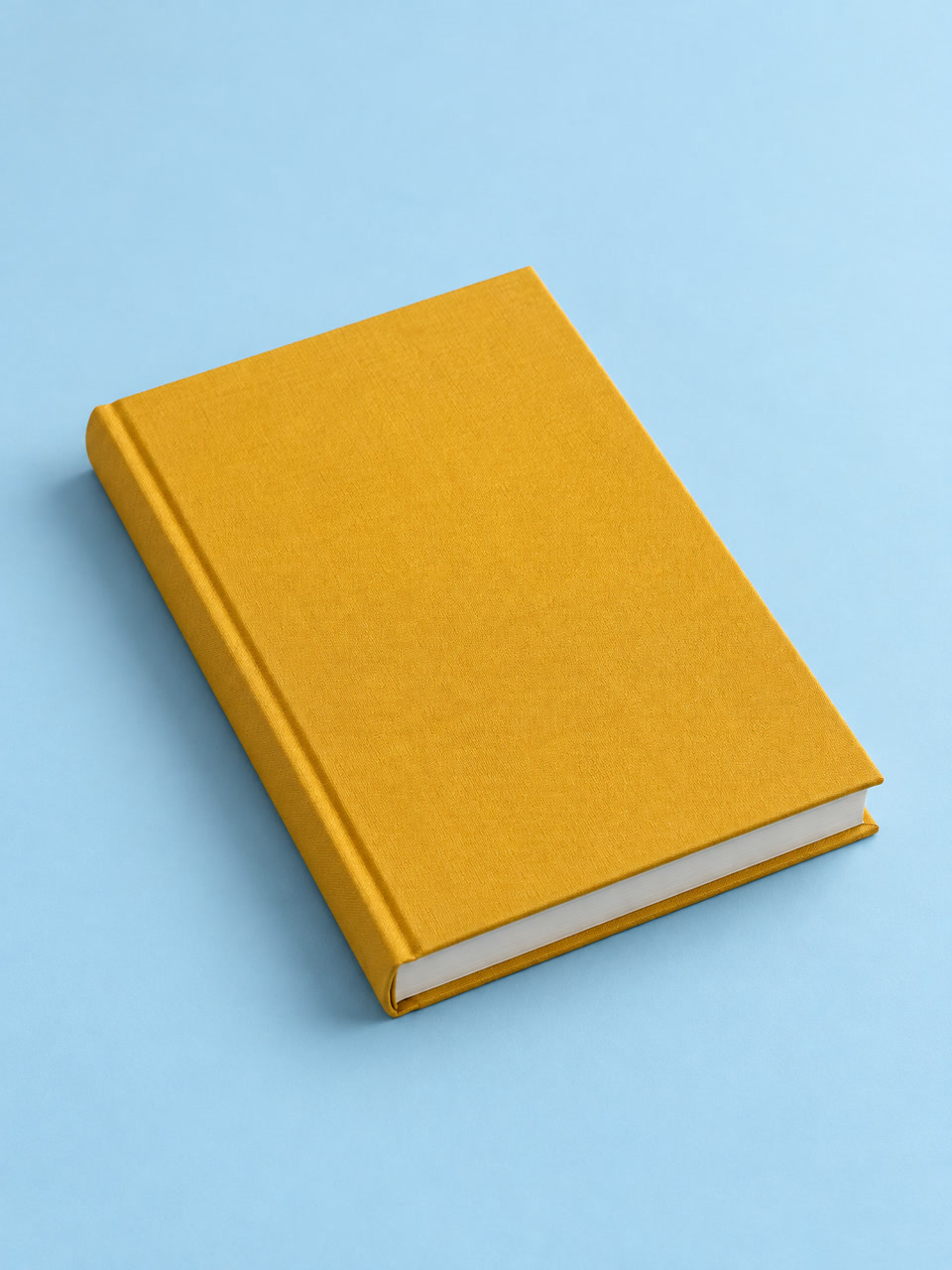 Livro fictício O quintal cabe no bolso, representado por capa lisa amarela